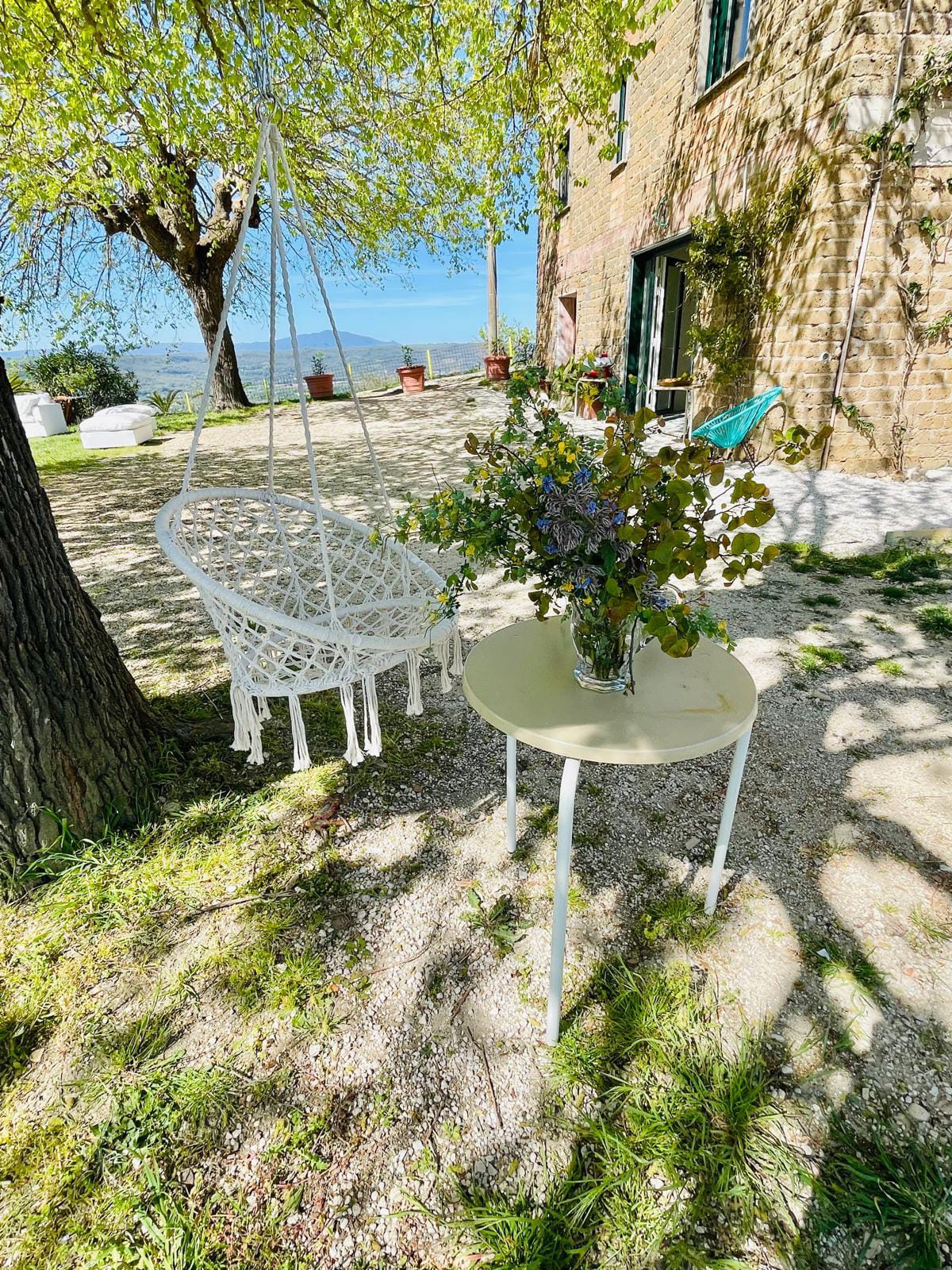 Ulivo nel giardino di Casale Le Casole a Otricoli, verso il bosco